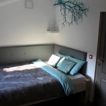Oina Studio Cluj-Napoca