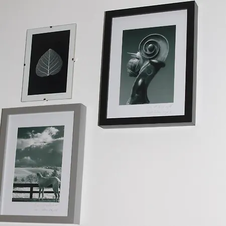 Appartement Oina Studio