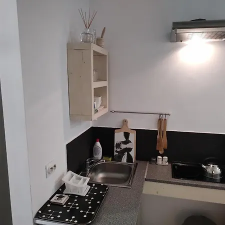 Oina Studio Appartement *